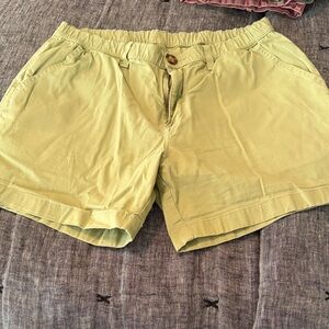Chubbies Light Green Men's Flat Front Shorts